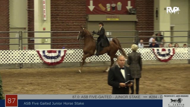 AAC22 - Class 87 -  ASB Five Gaited J...