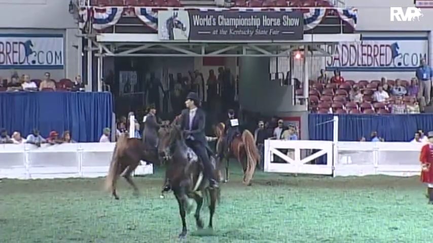 2010 World's Championship Horse Show Class 99 Amateur Five Gaited -Stallion-Gelding