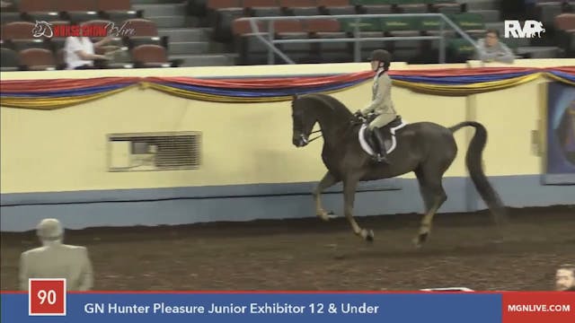 2015 MGN - Class 90 GN Hunter Pleasur...
