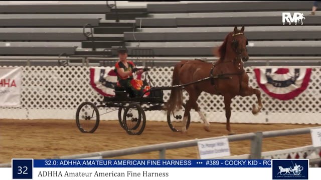 AAC23 - Class 32 - ADHHA Amateur Amer...