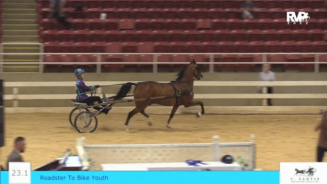 ASF22 - Class 23.1 - Youth Roadster Pony
