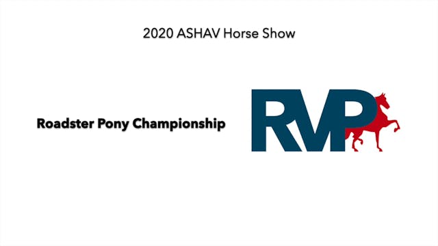 ASHAV 2020 - Class 117 Roadster Pony ...