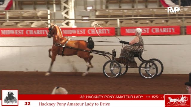 MW24 - Class 32 - Hackney Pony Amateu...