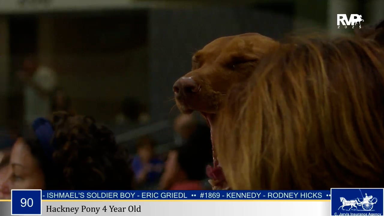 2025 World's Championship Horse Show - Tuesday Morning