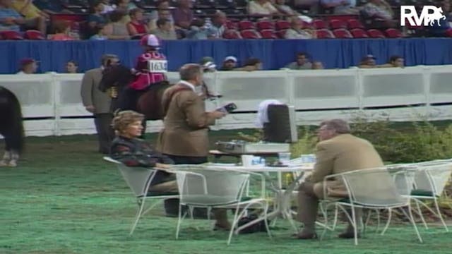 2004 World's Championship Horse Show ...