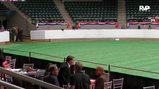 AN25 - Class 977 - Arabian Futurity F...