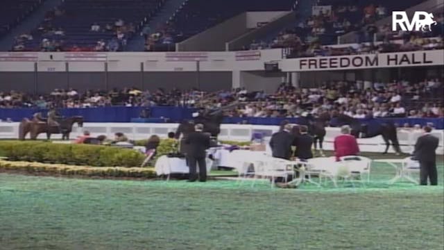 2007 WCHS Class 101 Amateur Three Gai...