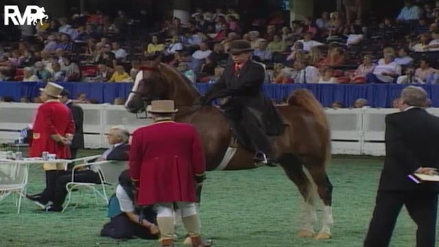 2004 World's Championship Horse Show ...