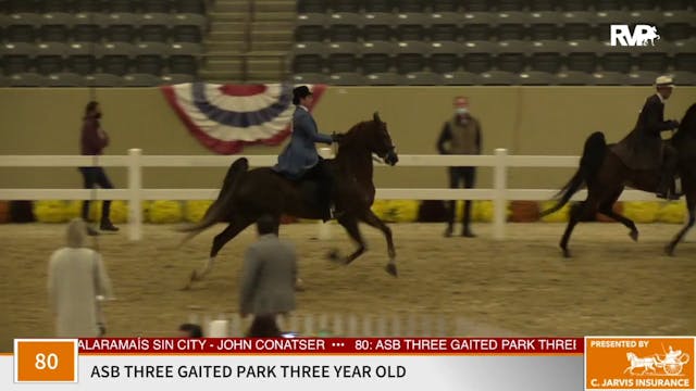 KFC 2020 - Class 80 ASB Three Gaited ...