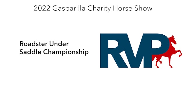 GASP22 - Class 135 - Roadster Under Saddle Championship