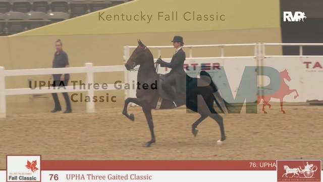 KFC24 - Class 76 - UPHA Three Gaited ...