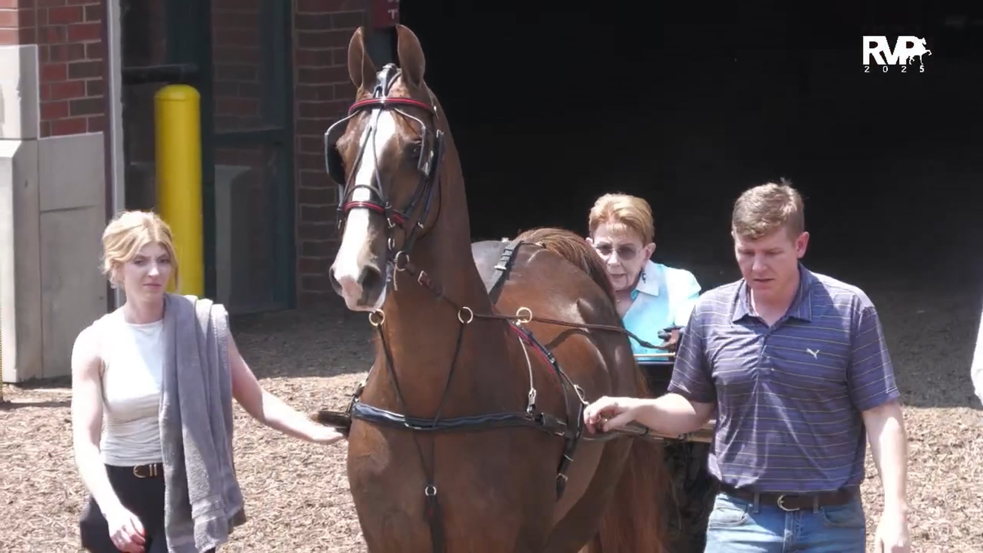 MW25 - Class 58 - ASB Country Pleasure Driving