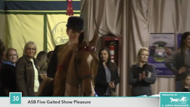 GASP17 - CH Billy Deluxe
