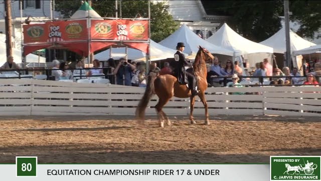 2017 RC - Class 80 Equitation Champio...