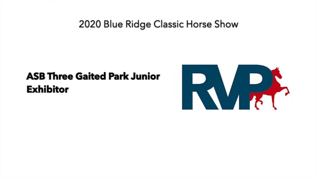 2020 BR - Class 47 ASB Three Gaited P...