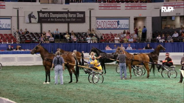 2012 WCHS - Class 131 Ladies Amateur ...