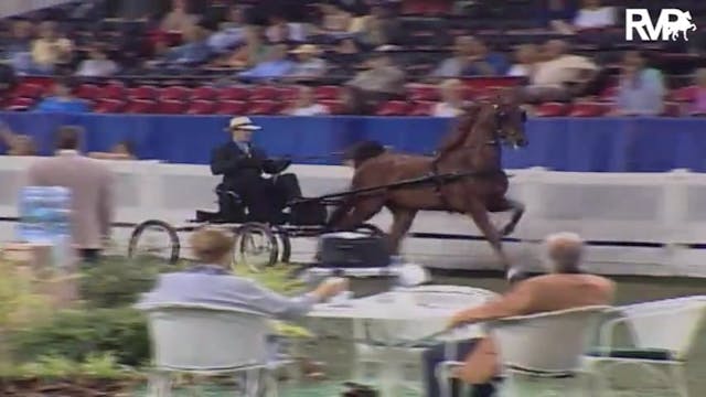 2004 World's Championship Horse Show ...