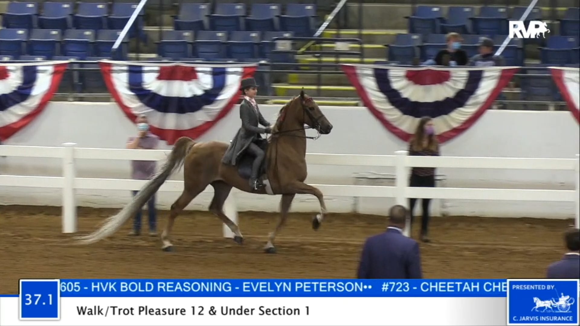 2020 BB - Class 37.1 Walk Trot Pleasure 12 & Under
Division 1