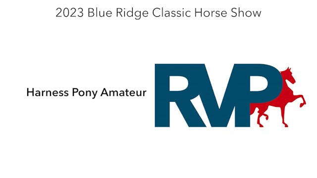 BR23 - Class 127 - Harness Pony Amateur