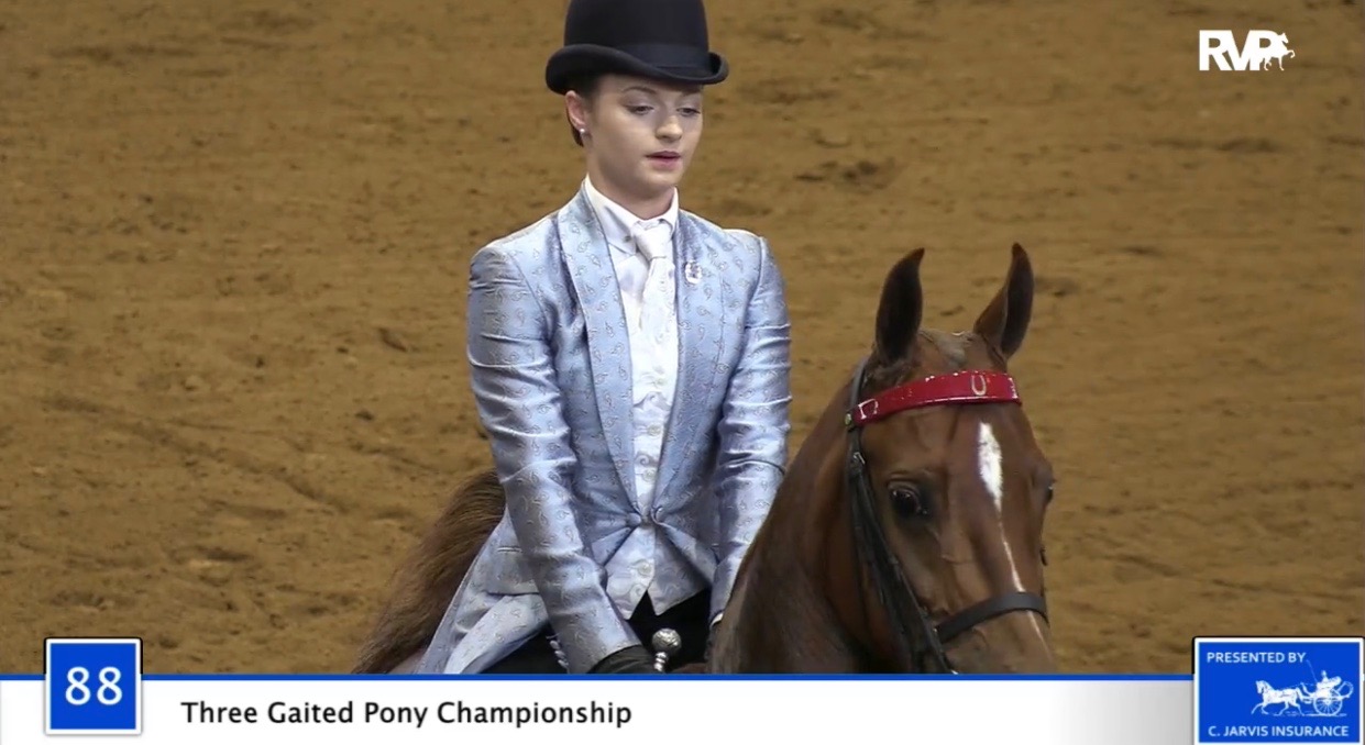 2020 Bonnie Blue Horse Show - Friday Morning