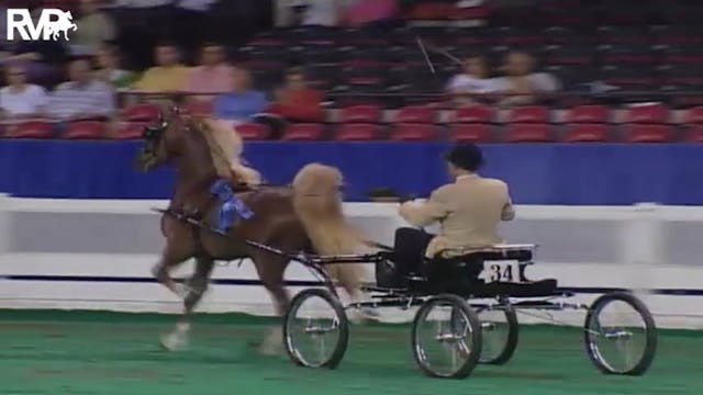 2004 World's Championship Horse Show ...