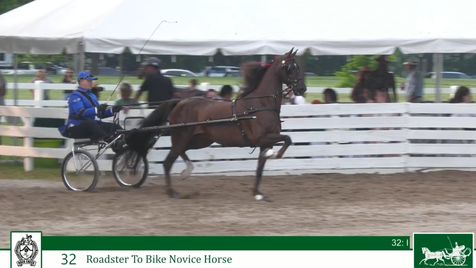 RC25 - Class 32 - Roadster to Bike Novice Horse