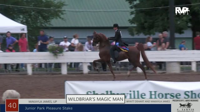 SHS22 - Class 40 -  Wildbriar’s Magic...