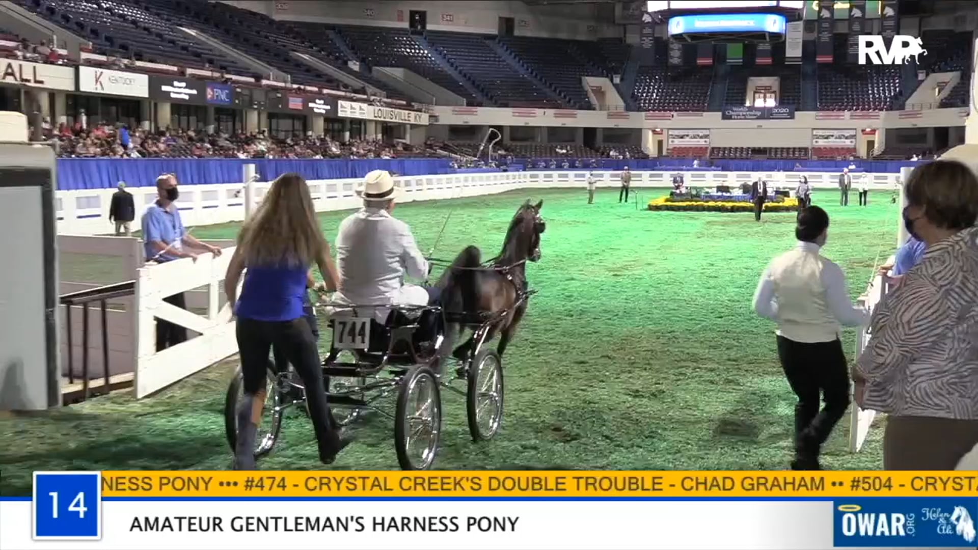 WCHS 2020 - Class 14 - Amateur Gentlemen's Harness Pony