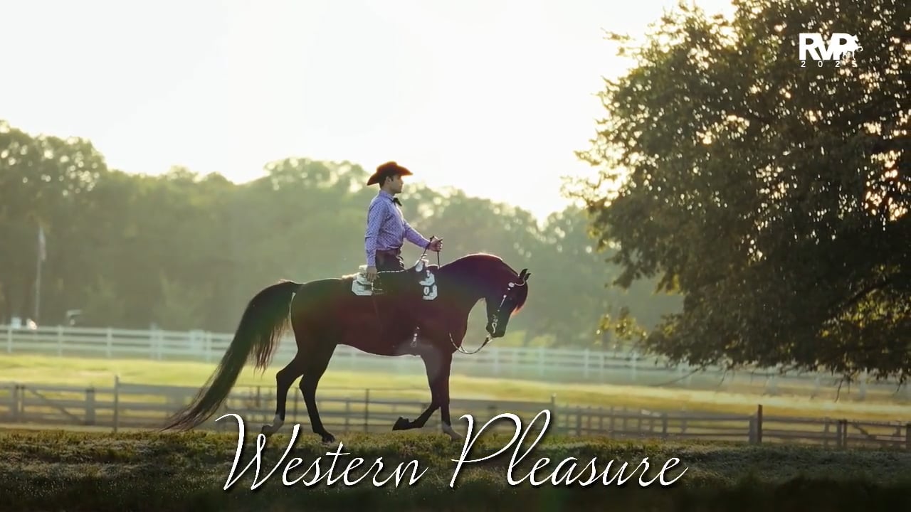 2025 Arabian Nationals - Saturday Morning - Mustang