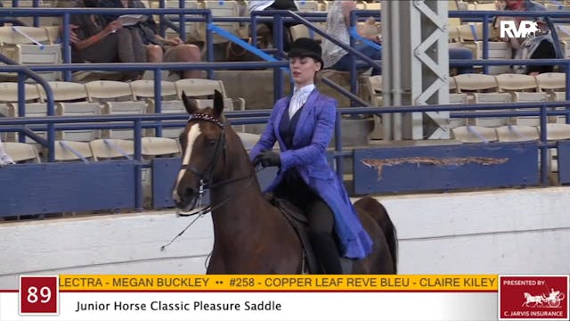 2020 JMHS - Class 89 Junior Horse Cla...