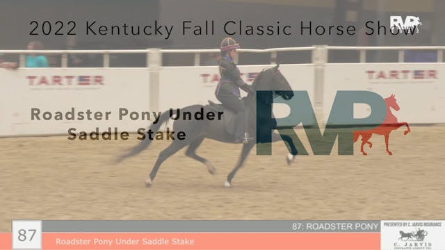 KYFC22 - Class 87 - Roadster Pony Und...
