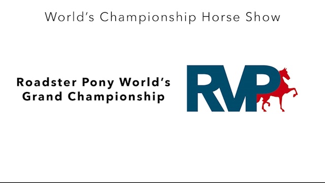 WCHS23 - Class 233 - Roadster Pony World's Grand Championship