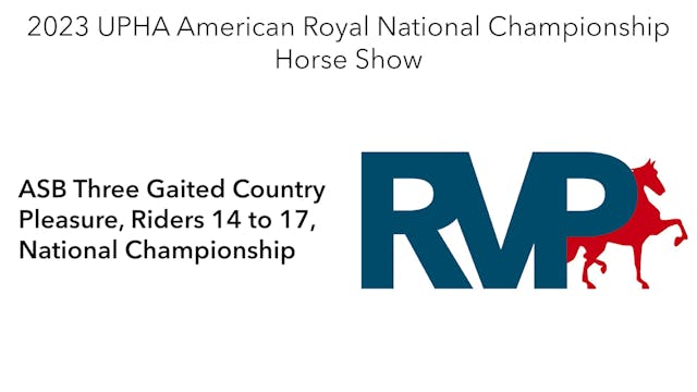 AR23 - Class 143 - ASB Three Gaited C...