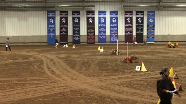 MGN16 - Sport Horse 1 - Thursday Evening