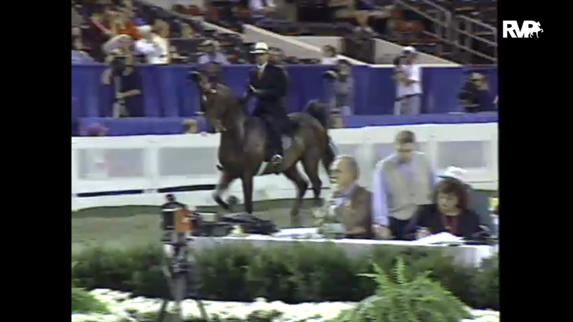 1997 WCHS - Class 194 ASB Three Gaited Park Horse
 Championship