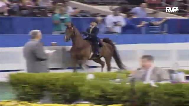 2006 WCHS Class 20 Junior Exhibitor T...