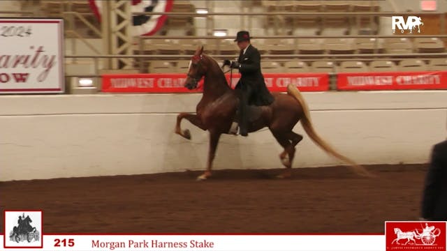 MW24 - Class 216 -  ASB Three Gaited ...