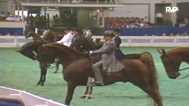 1992 WCHS Class 70A Junior Exhibitor ...
