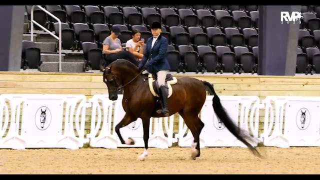 2025 Arabian Nationals - Thursday Aft...