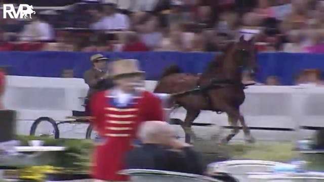 2004 World's Championship Horse Show ...