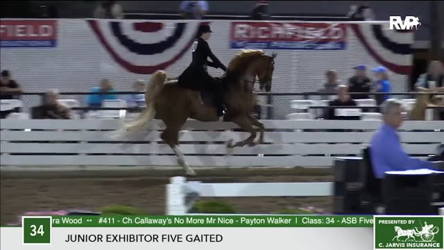 2017 RC - Class 34 Junior Exhibitor F...