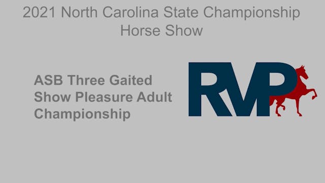 NCSC21 - Class 135 - ASB Three Gaited...