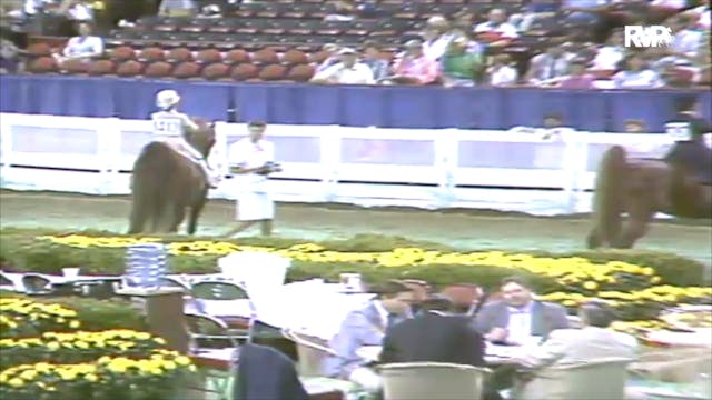 1991 WCHS Class 93 UPHA Equitation Wa...
