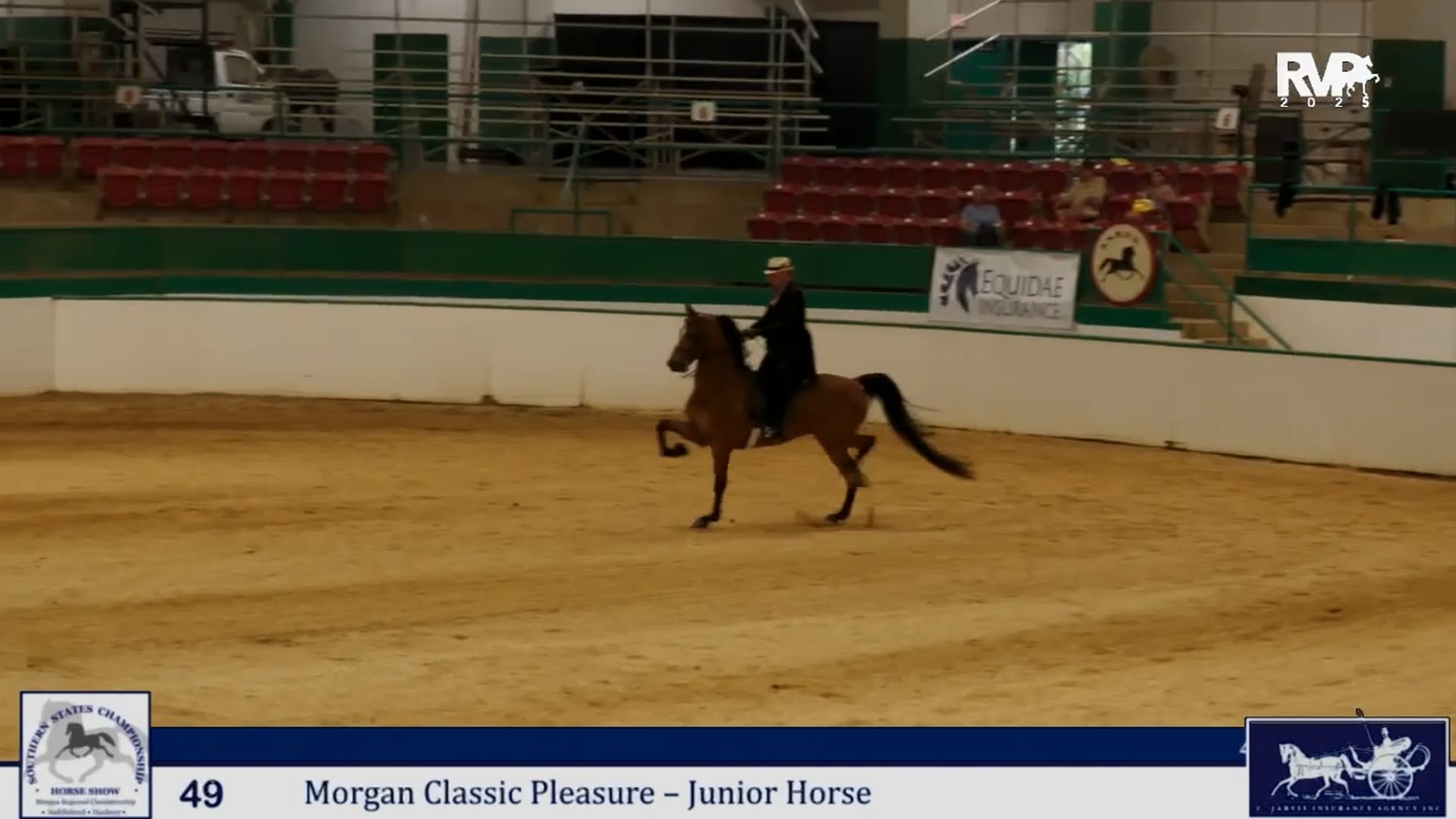 SS25 - Class 48 - Morgan Park Saddle Junior Horse