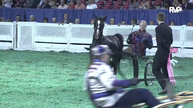 2011 WCHS Class 231 Roadster Pony Cha...