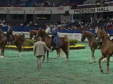 2008 WCHS Class 117 Adult Three Gaite...