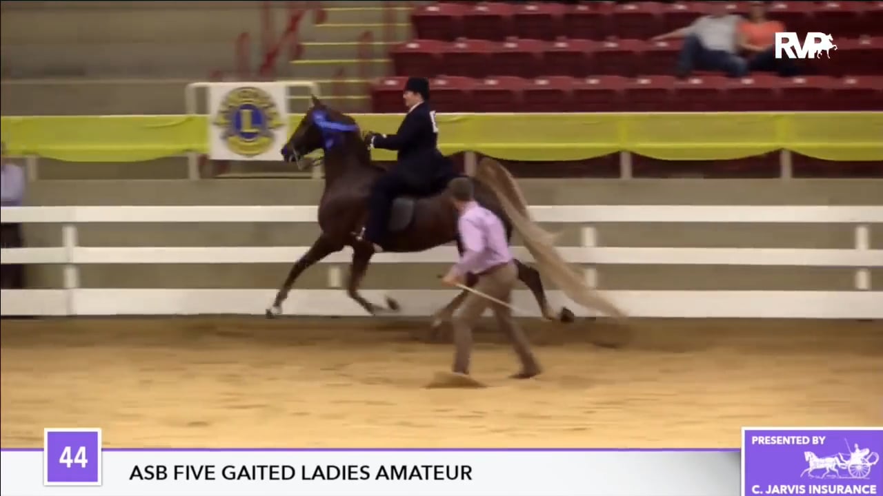 ALCB17- Friday Morning