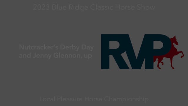 BR23 - Class 199 - Nutcracker’s Derby...