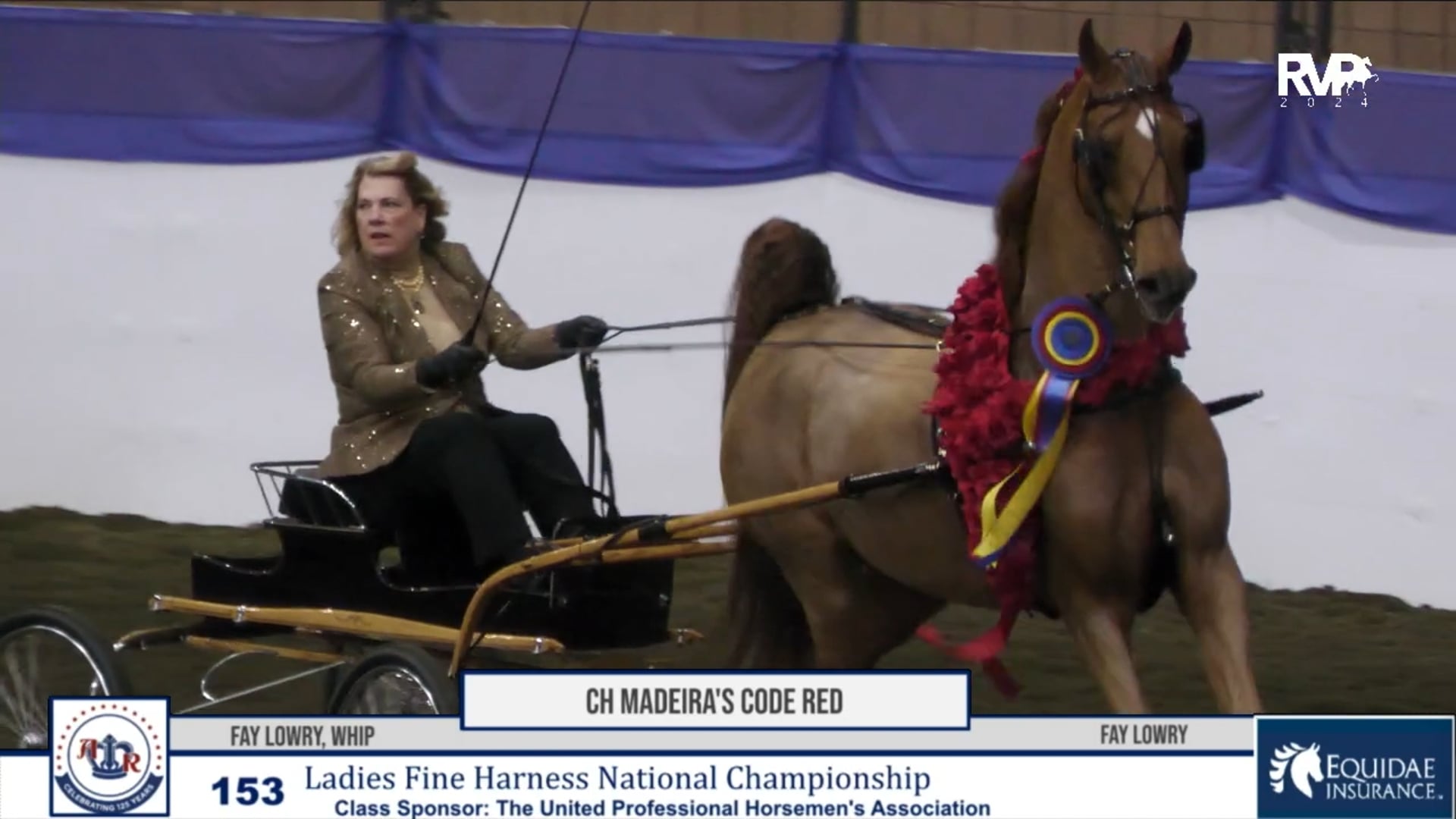 AR24 - Class 153 - CH Madeira's Code Red and Fay Lowry, Whip