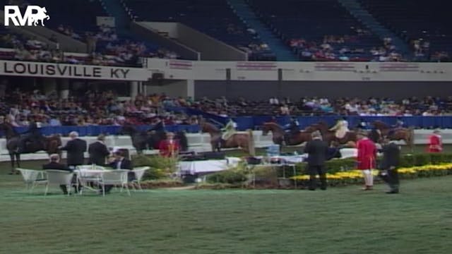 2004 World's Championship Horse Show ...